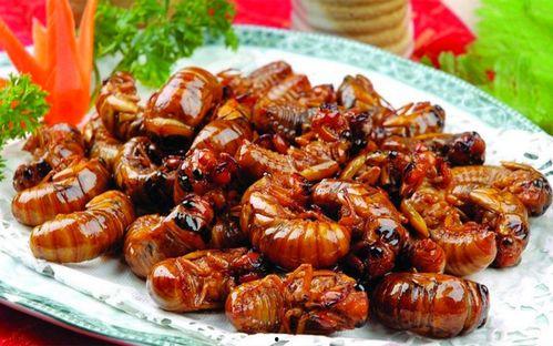 最新新康饭菜爆料图片高清,高清爆料图揭示美食新境界